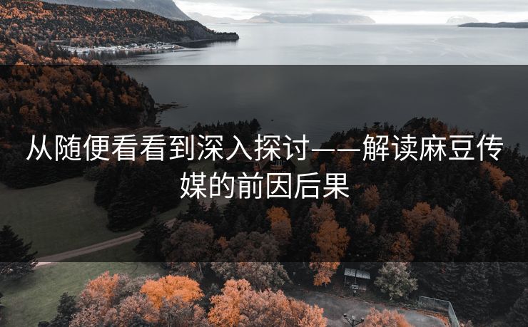 从随便看看到深入探讨——解读麻豆传媒的前因后果